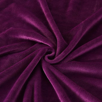 TASTHROW Large Flannel Fleece Throw Blanket, 60×80 Inch - Cozy Lightweight Thick Blanket - All Seasons Suitable for Women, Men and Kids (Purple)