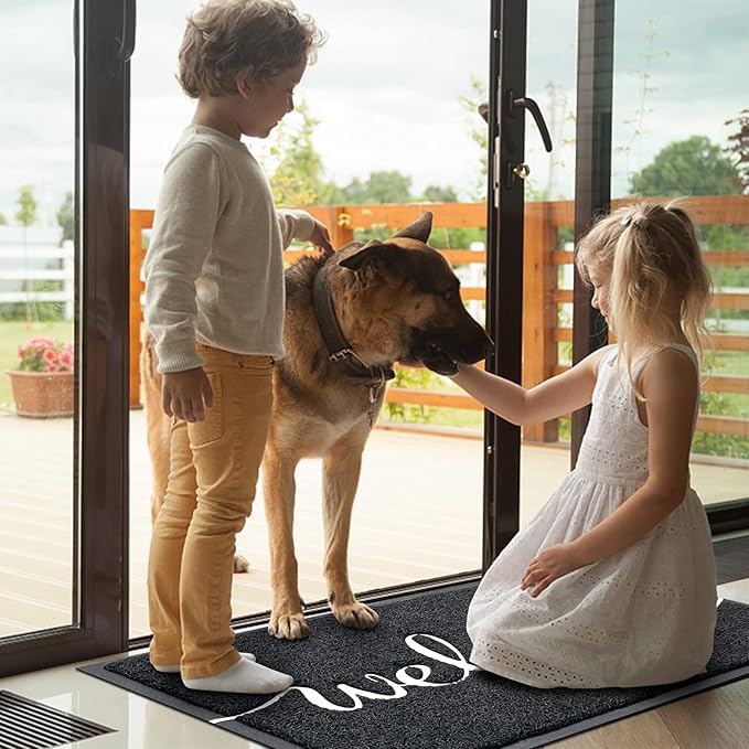 BeneathYourFeet Door Mat, Welcome Mat Low Profile Floor Mat Front Doormat Indoor and Outdoor Doormat Non Slip Rugs for Entryway, Patio, High Traffic Areas (36"x24", Black-Welcome)