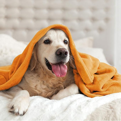 BEDELITE Fleece Blankets Queen Size Burnt Orange Throw Blankets for Bed, Luxury Plush Cozy Fuzzy Blanket 90x90 inches, Super Soft & Warm Blankets for All Seasons