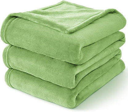 BEDELITE Fleece Blankets Queen Size Grass Green Throw Blankets for Bed, Luxury Plush Cozy Fuzzy Blanket 90x90 inches, Super Soft Warm Lightweight Throw Blanket All Seasons Suitable