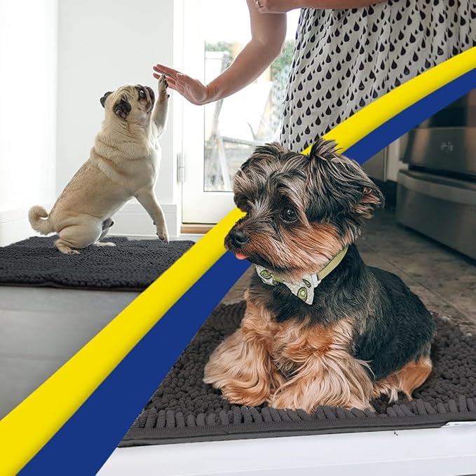 Muddy Mat® | Super Absorbent Door Mat Indoor, Microfiber Quick Dry Chenille Entryway Rug, Non-Slip Front Door Mat, Indoor Mats for Entryway, Machine Washable Pet Rug, Charcoal 48"x60"