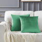 GIGIZAZA Decor Throw Couch Pillow Covers,Set of 2 Sofa Cushion Mint Turquoise Pillow Covers,Velvet Pillow Cases 24 x 24inch