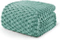 Exclusivo Mezcla Fleece Queen Blanket for Bed, Extra Large Fuzzy Celadon Bed Blankets, Soft Cozy Plush Sofa Throws for All Seasons, 90x90 Inches