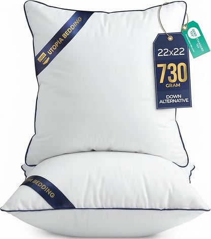 Utopia Bedding Throw Pillow Inserts (Pack of 2, White), 22 x 22 Inches Decorative Indoor Pillows for Sofa, Bed, Couch, Cushion Sham Stuffer
