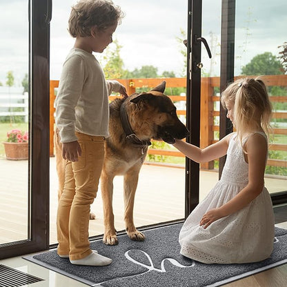 BeneathYourFeet Door Mat (36"x24",Grey) Welcome Mat Low Profile Front Doormat Indoor Outdoor Door Non Slip Rugs for Entryway, Patio, High Traffic Areas