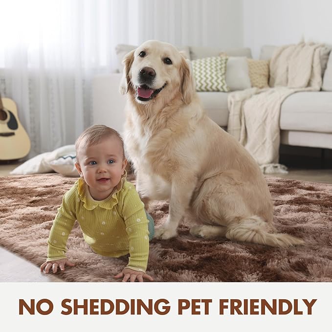 4x6 Ft Shag Brown Area Rug for Bedroom Living Room, Tie-Dyed Ultra Soft Fluffy Furry Rugs for Indoor Floor, Aesthetic Carpet for Kids Home Decor (Coffee)