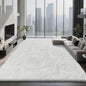 Shag Area Rugs for Bedroom Living Room,6X9 Ultra Soft White Fluffy Area Rugs for Dorm, Indoor Carpet Nursery Rugs for Kids Room Home Decor,White
