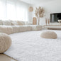 OLANLY 10x14 Machine Washable Large Area Rugs for Living Room, Bedroom, Soft Fluffy Shaggy Bedside Rug, Indoor Floor Carpet for Kids Girls and Boys, Dorms, Nursery, Home Decor Aesthetic, White