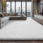 10X14 Large Area Rugs for Living Room Bedroom,White Big Shag Rug for Bedroom Dorm,Soft Fluffy Indoor Carpet Nursery Rugs for Kids Girls Room Home Decor (White, 10X14 Feet)