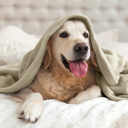 BEDELITE Fleece Blanket Oat Linen Throw Blankets for Couch & Bed, Luxury Plush Cozy Fuzzy Blanket 50x60 inches, Super Soft Warm Lightweight Throw Blanket for Travel Camping