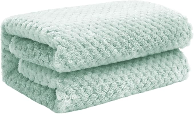 Exclusivo Mezcla Fleece Throw Blanket, Super Soft and Warm Blankets for Couch, Sofa and Bed Waffle Textured, Cozy, Fuzzy and Lightweight (Mint Green, 40x50 Inches)