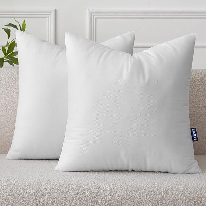 MIULEE Set of 2 Throw Pillow Inserts 22x22 Inches, Non-Woven Decorative Pillow Inserts for Living Room