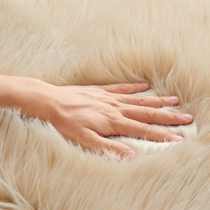 EasyJoy Ultra Soft Fluffy Shaggy Area Rug Faux Fur Rug Chair Cover Seat Pad Fuzzy Area Rug for Bedroom Floor Sofa Living Room (4 x 6 ft Rectangle, Beige)