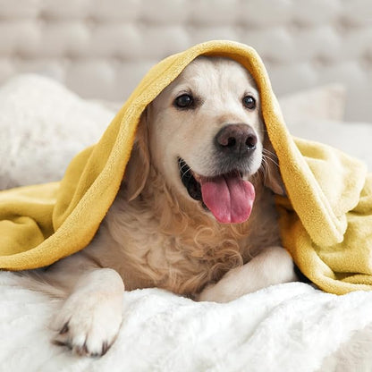 BEDELITE Fleece Blanket Twin Size Cream Yellow Throw Blankets for Couch & Bed, Luxury Plush Cozy Fuzzy Blanket 60x80 inches, Super Soft Warm Lightweight Throw Blanket for Travel Camping