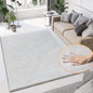 ORINOVA Washable Area Rugs 5x8 Rugs for Living Room Silver Grey Faux Rabbit Fur Rug for Bedroom Faux Sheepskin Rug Teen Room Home Décor