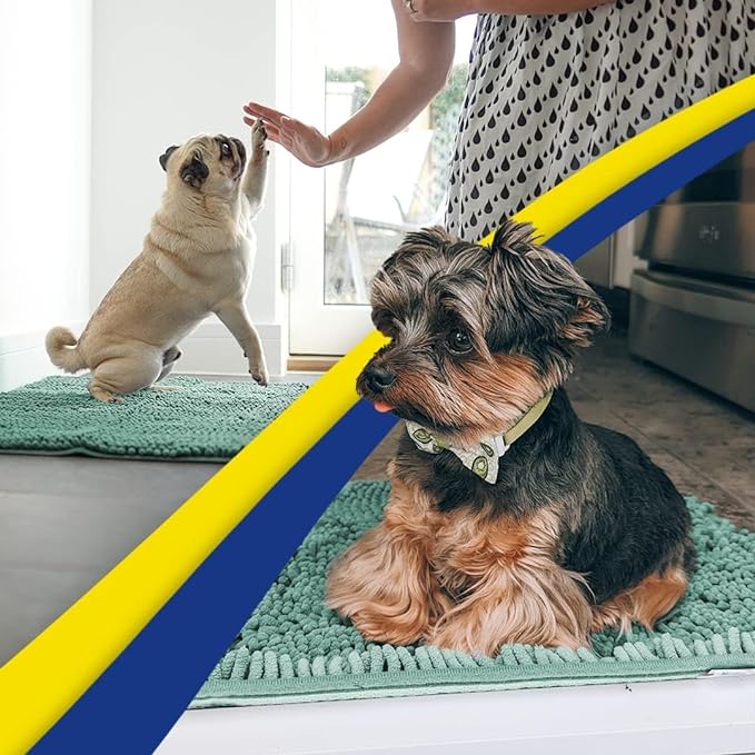 Muddy Mat® | Super Absorbent Door Mat Indoor, Microfiber Quick Dry Chenille Entryway Rug, Non-Slip Front Door Mat, Indoor Mats for Entryway, Machine Washable Pet Rug, Seafoam Green 24" x 72"