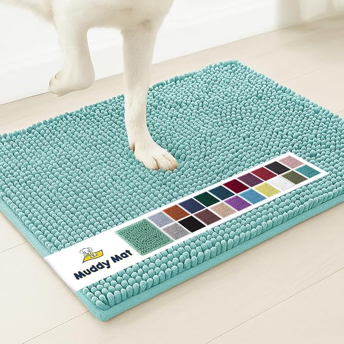 Muddy Mat® | Super Absorbent Door Mat Indoor, Microfiber Quick Dry Chenille Entryway Rug, Non-Slip Front Door Mat, Indoor Mats for Entryway, Machine Washable Pet Rug, Seafoam Green 28"x18"