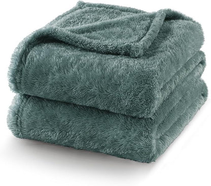 Exclusivo Mezcla Plush Fuzzy Fleece Bed Blanket Queen Size, Super Soft, Fluffy and Warm Blankets for Couch, Bed, All Season (Celadon, 90x90 inches)