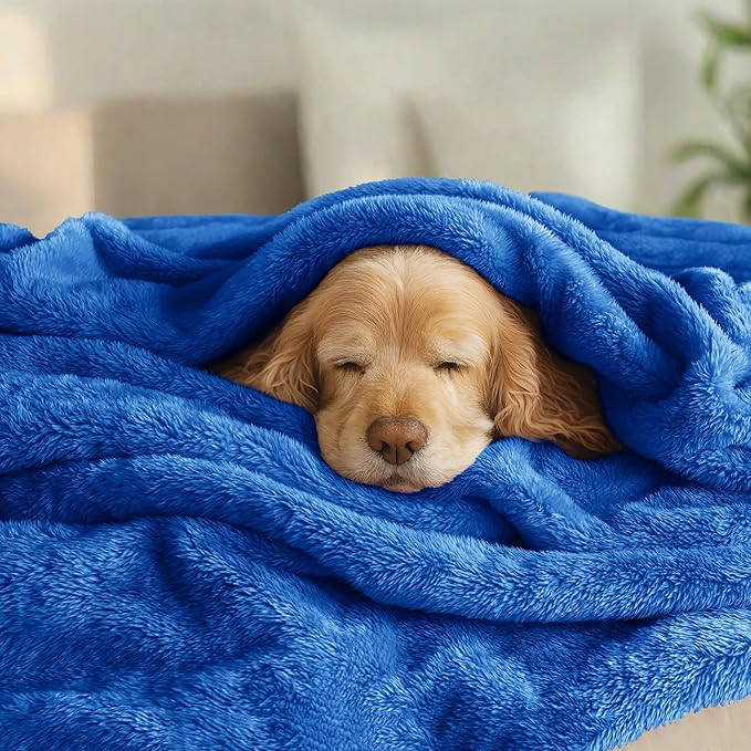 Exclusivo Mezcla Plush Fuzzy Fleece Bed Blanket Twin Size, Super Soft, Fluffy and Warm Blankets for Couch, Bed, All Season (Cobalt Blue, 90x66 inches)