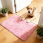 2x3 Fluffy Area Rugs for Bedroom Living Room,Small Soft Shag Fuzzy Rug Non-Shedding Indoor Plush Carpet for Kids Bedroom Nursery Dorm Home Decor,Pink