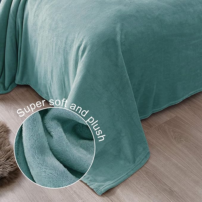 Exclusivo Mezcla Fleece Blanket Twin Size for Bed, Super Soft and Warm, All Season, Cozy, Plush, Lightweight, 60x80 Inches Celadon