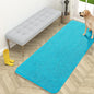 OLANLY Dog Door Mat for Muddy Paws 59x24, Absorbs Moisture and Dirt, Absorbent Non-Slip Washable Doormat, Quick Dry Chenille Mud Mat for Dogs, Entry Indoor Entryway Carpet for Inside Floor, Aqua Blue