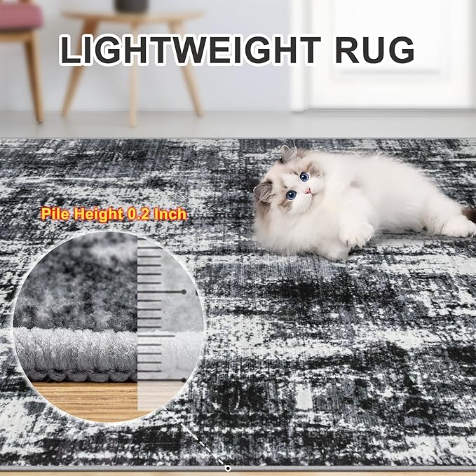 6x9 Area Rugs for Living Room - Washable Rug Modern Abstract Soft Large Neutral Non-Slip Carpet Indoor Floor Thin Carpets for Bedroom Dining Room Farmhouse Nursery Home Office Black