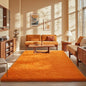 Ophanie Orange Rugs for Living Room Bedroom, 5x8 Fluffy Fuzzy Furry Carpet, Plush Soft Shaggy Bedside Indoor Floor Area Rug for Kids Girls Boys Baby Teen Dorm Nursery Home Decor Aesthetic