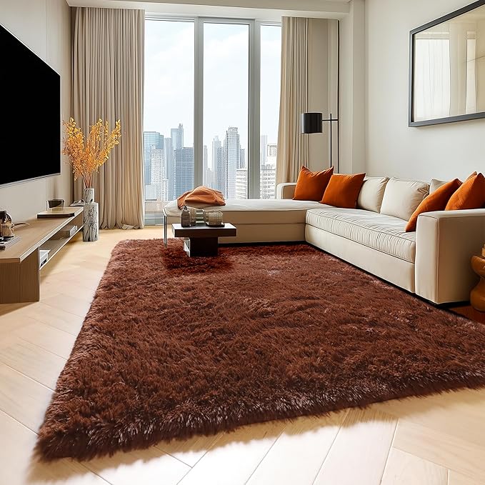 ONASAR Brown 6x9 Area Rugs for Living Room Bedroom, Large Fluffy Bedside Throw Rug, Soft Plush Shaggy Fuzzy Floor Carpet for Nursery Kids Girls Boys Teen Dorm Home Office Decor Aesthetic