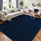 AROGAN Modern Shag Area Rug for Bedroom, 4x6 Feet Washable Rugs for Living Room, Indoor Floor Carpet, Plush Memory Foam Bedside Rugs for Kids Girls Teens Room Low Pile, Navy Blue