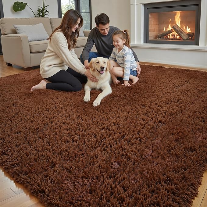 Rugs for Living Room 5x8, Alfombras para Salas Shag Large Plush Soft Area Rug, Shaggy Carpets for Bedroom, Kids Boys Girls Home Decor Aesthetic(Coffee, 5 x 8)