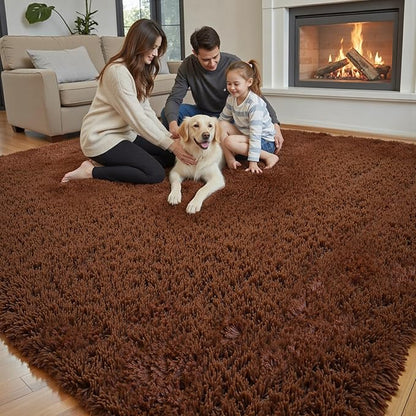 Rugs for Bedroom 4x6, Alfombras para Salas Shag Large Plush Soft Area Rug, Shaggy Carpets for Livingroom, Kids Boys Girls Home Decor Aesthetic(Coffee, 4 x 6)