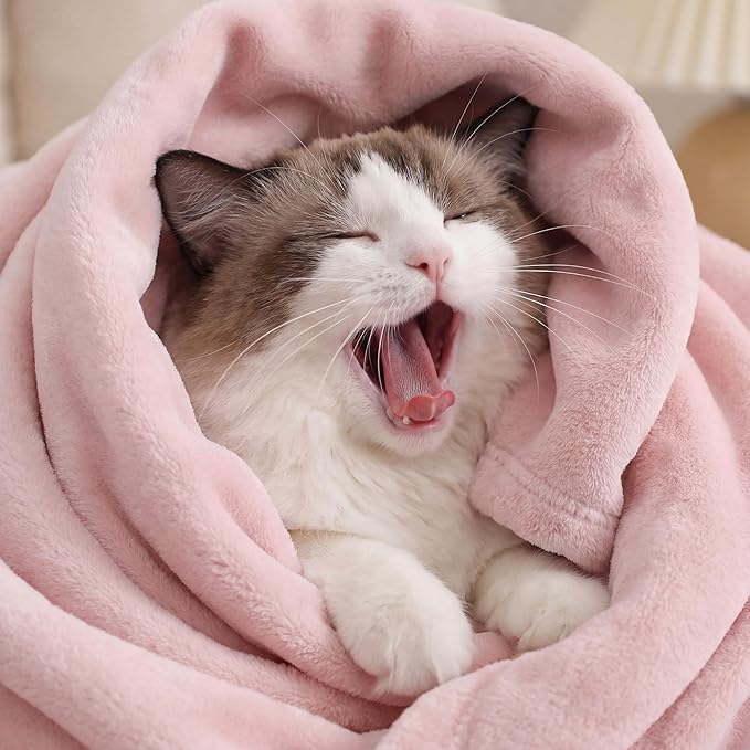 Bedsure GentleSoft Fleece Blanket Twin Size Pink - 300GSM Lightweight Plush Fuzzy Cozy Soft Warm Blanket for Bed, Sofa, Couch, Travel, Camping, 60x80 inches