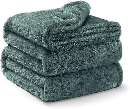 Exclusivo Mezcla Plush Fuzzy Fleece Bed Blanket King Size, Super Soft, Fluffy and Warm Blankets for Couch, Bed, All Season (Celadon, 90x104 inches)