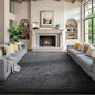Ophanie 7x9 Area Rugs, Upgrade Non-Slip Fluffy Soft Rugs for Living Room, Large Shag Grey Fuzzy Plush Rug, Gray Shaggy Big Carpets for Bedroom, Kids Boys Girls Dorm Nursery Home Decor Aesthetic