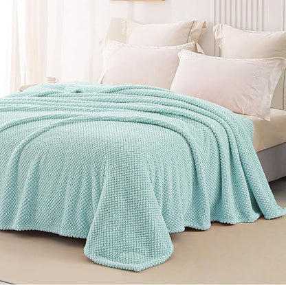 Whale Flotilla Twin Size Fuzzy Fleece Blanket for Bed, 60x80 Inch Fluffy Warm Soft Jacquard Blankets for All Season, Lightweight and Cozy, Light Blue