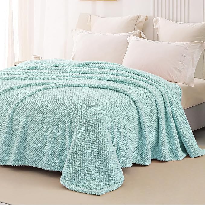 Whale Flotilla Queen Size Fuzzy Fleece Blanket for Bed, 90x90 Inch Fluffy Warm Soft Jacquard Blankets for All Season, Lightweight and Cozy, Light Blue