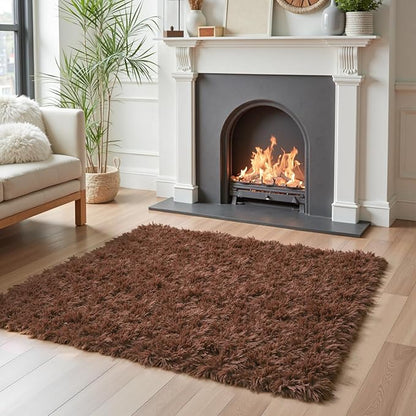 Small Rugs for Bedroom 2x3, Soft Area Rug for Living Room Dorm, Non Slip Shag Rugs for Girls Boys Bedroom, Soft Kids Carpet, Modern Home Decor Aesthetic(Coffee, 2 x 3)