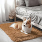 OLANLY 2x3 Machine Washable Small Bedside Rug, Soft Fluffy Shaggy Entryway Throw Rugs for Bedroom, Living Room, Indoor Floor Carpet for Kids Girls and Boys, Nursery Rooms, Home Decor Aesthetic, Khaki