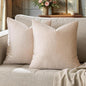 GIGIZAZA Beige Velvet Pillow Covers: Pack of 2 Super Soft Throw Pillows Solid Vintage Covers - 18x18 Decorative Elegant Champagne Couch Small Square Cushion Covers Used for Living Room,Bedroom