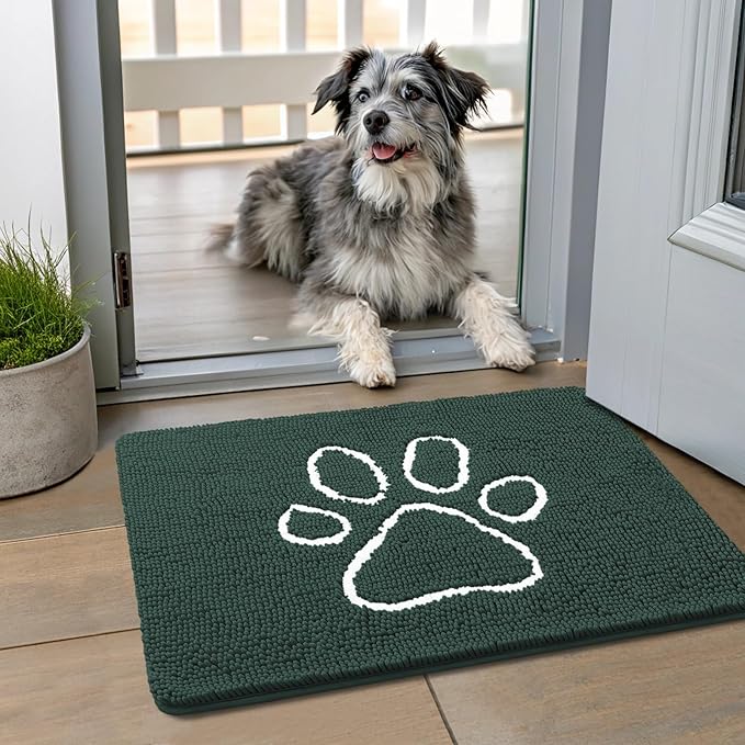 Smiry Dog Door Mat for Muddy Paws, Absorbent Dirt Trapper Non Slip Quick Dry Washable Chenille Mat for Mud Dogs, Entry Rug for Indoor and Outdoor (24x16 Inches, Green and White)