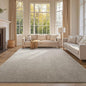 FinRèc 8x10 Washable Area Rugs for Bedroom Living Room, Low Pile Thin Rug Solid Color, Non-Slip Carpet Indoor for Home Decor (Light Tan)