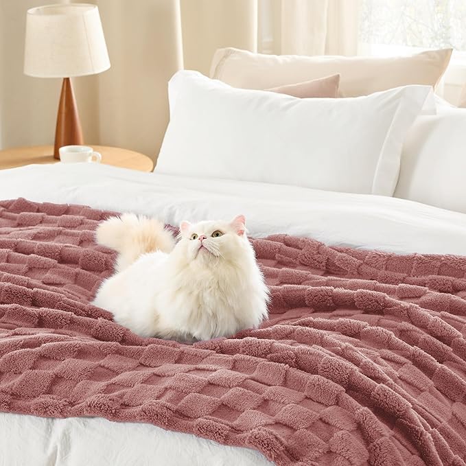 Bedsure GentleSoft Twin Blanket for Bed Dusty Pink - Super Soft Cozy Blankets for Women Kids Girls, Cute Fuzzy Fleece Throws for Bedroom Couch, 60x80 Inches