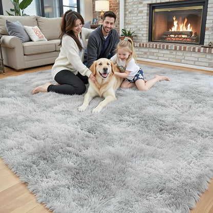 Super Soft Shaggy Area Rugs for Bedroom 4x6 Feet, Shaggy Plush Living Room Shag Furry Floor Rugs, Non-Shedding Indoor Rugs for Living Room Decor(4 x 6, Light Grey Tie-Dyed)