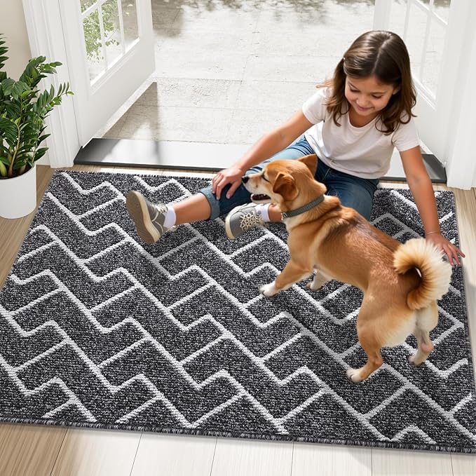 OLANLY Front Door Mat, Non-Slip Rubber Backing, Dirt Resistant and Absorbent, Washable, Easy to Clean Low-Profile Indoor Doormat for Back Door, Entryway, Inside Entrance, 48x32, Black