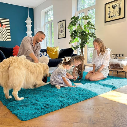 OLANLY 2x3 Machine Washable Small Bedside Rug, Soft Fluffy Shaggy Entryway Throw Rugs for Bedroom, Living Room, Indoor Floor Carpet for Kids Girls and Boys, Nursery Rooms, Home Decor Aesthetic, Teal