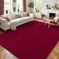 AROGAN Modern Shag Area Rug for Bedroom, 4x6 Feet Washable Rugs for Living Room, Indoor Floor Carpet Rugs, Plush Memory Foam Bedside for Kids Girls Teens Room Low Pile Rug Decor, Wine Red