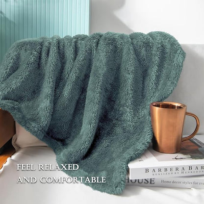 Exclusivo Mezcla Plush Fuzzy Fleece Bed Blanket Queen Size, Super Soft, Fluffy and Warm Blankets for Couch, Bed, All Season (Celadon, 90x90 inches)