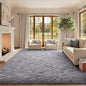 8x10 Ft Extra Large Shag Rugs for Living Room, Ultra Soft Fluffy Furry Area Rugs for Bedroom Indoor Floor, Aesthetic Carpet for Kids Home Decor (Light Grey)