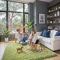 Green Grass Area Rugs for Bedroom, 3x5 Shag Fluffy Carpet, Fuzzy Furry Plush Soft Cute Kids Baby Girls Shaggy Bedside Floor Rug for Dorm Home Decor Aesthetic(3 x 5, Grass Green)